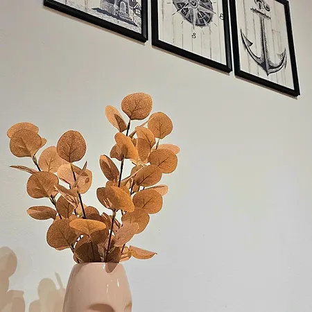 Summer Dream, Center Of Rovigno