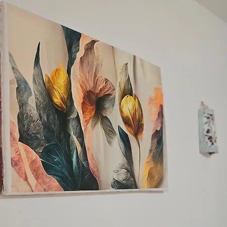 Summer Dream, Center Of