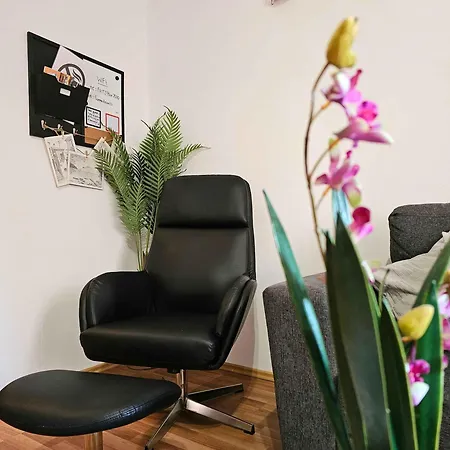 Summer Dream, Center Of * Rovigno