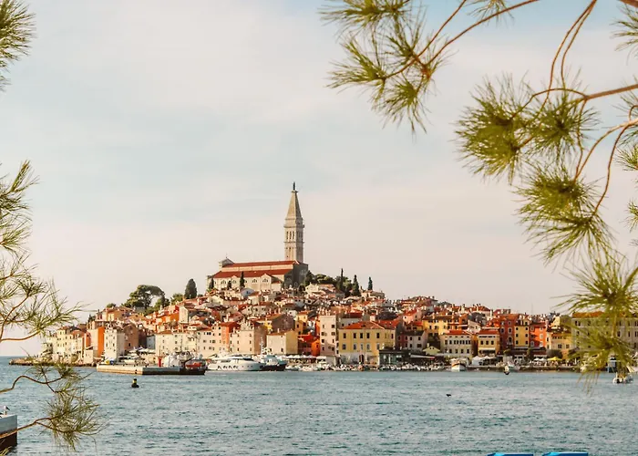 Summer Dream, Center Of *